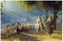 Dailiy Devotion image
